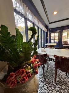 a potted plant in a room with a table and chairs at Maison Dang Boutique Hotel in Chiang Mai