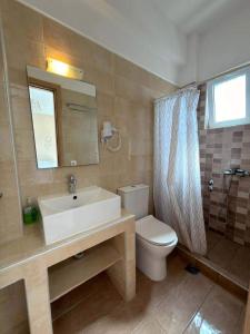 a bathroom with a sink and a toilet and a mirror at Elenas Garden in Kavos