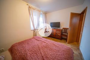 a bedroom with a bed and a tv and a window at Appartamento Nivy con posto auto in Bratislava