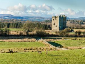 a castle in a field with deer in the foreground at 2 Bed in Castle Douglas oc-59637 in Castle Douglas