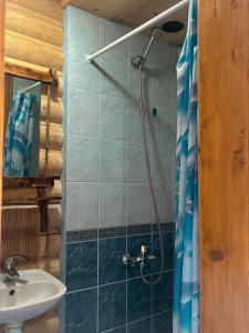 a bathroom with a shower and a sink at Садиба Людмила in Pilipets +27 photos