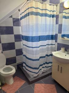 a bathroom with a shower curtain and a toilet at Apartament Ral in Arieşeni +15 photos