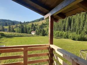 a view from the porch of a house with a field and trees at Apartament Ral in Arieşeni