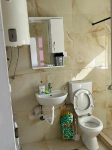 a bathroom with a toilet and a sink at Skadar Lake Stone House in Podgorica +13 photos