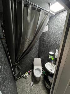 a small bathroom with a toilet and a sink at Дідова Хата in Sheshory