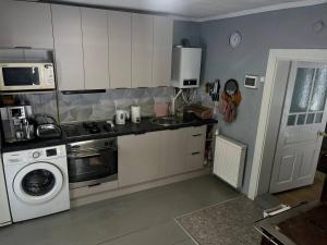 a kitchen with a sink and a washing machine at Дідова Хата in Sheshory