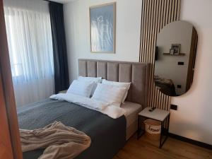 a bedroom with a large bed with a mirror at Ski & Spa Bjelašnica in Bjelašnica +52 photos