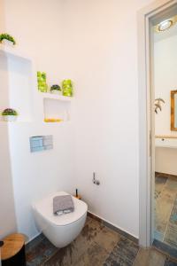 a bathroom with a white toilet in a room at Little Garden in Pera Gyalos +72 photos