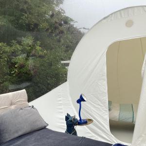 a white tent with a bed and a lamp on a table at Wooded Bubble in Kent +16 photos