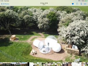 an aerial view of a garden with a house at Wooded Bubble in Kent