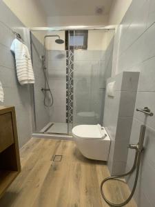 a bathroom with a shower and a toilet with a glass shower stall at Villa Thalia in Alexandroupoli +39 photos