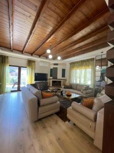 a large living room with couches and a fireplace at Villa Thalia in Alexandroupoli
