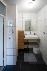 a bathroom with a sink and a mirror at Vleijenhof Type C in Buren +24 photos