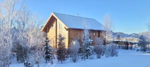 a log cabin in the snow with trees at Ecolodge Sauerland 2 in Medebach
