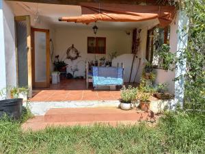 a porch of a house with a chair and potted plants at Bird cottage in Barrydale