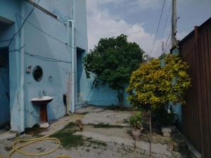 a blue building with a sink and a tree at Gyan Homestay in Bareilly