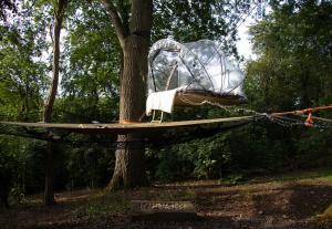 a tent on a surfboard tied to a tree at Tiny bubble Tree Tent in private woodland in Kent