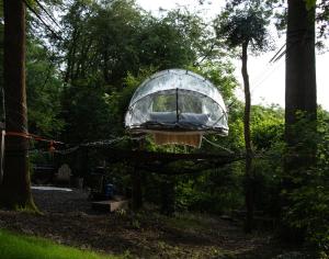 a glass dome hanging from a string in a forest at Tiny bubble Tree Tent in private woodland in Kent