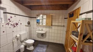 a bathroom with a toilet and a sink at Staar in Hohenfelde