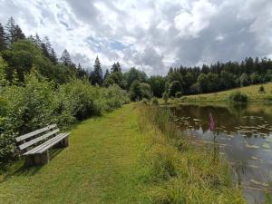 a bench sitting on the side of a lake at ANEMA Ferienwohnung in Bayerisch Eisenstein