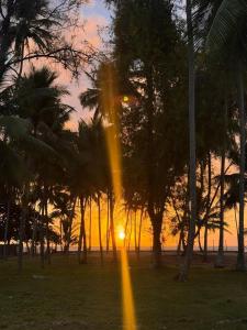 a sunset behind a group of palm trees at pousada Maria da Fé in Vera Cruz de Itaparica +3 photos