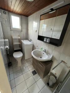 a small bathroom with a toilet and a sink at Ferienanlage Schöngrundner in Buchberg bei Herberstein +7 photos