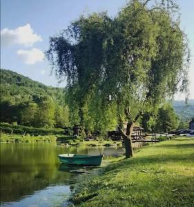 a green boat in the water under a tree at pODNOŽJE KOPAONIKA in Brus