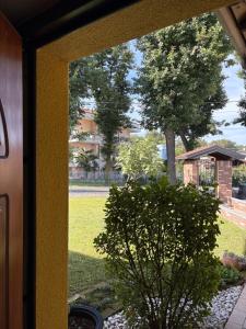 a window view of a yard with a tree at AirSisters Home in Ferno