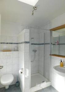 a bathroom with a shower and a toilet and a sink at Ferienhaus La Mer in Ahrenshoop +20 photos