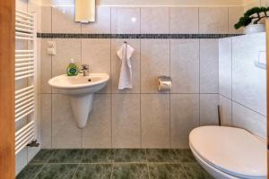 a bathroom with a sink and a toilet at Strandhaus Ahrensh 1 in Ahrenshoop +5 photos