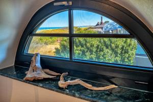 a window with a view of the ocean and trees at Strandhaus Ahrensh 2 in Ahrenshoop