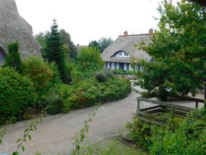 a garden with a bench and a house and trees at Malergarten 14 in Ahrenshoop