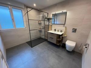 a bathroom with a shower and a sink and a toilet at Le Chalet de la belle vue in Fouchy +16 photos