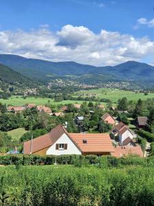 an aerial view of a village with a house at Le Chalet de la belle vue in Fouchy