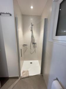 a shower with a glass door in a bathroom at Schäfer Apartments in Oberderdingen