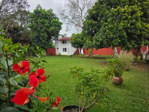 a yard with red flowers and a white house at Hotel Los Cedros in Martínez de La Torre