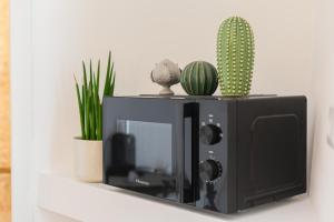 a tv on a shelf with cactus and plants at Sunny Vibes Monopoli in Monopoli