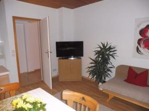 a living room with a couch and a television at Ferienwohnungen Wennesz in Chieming