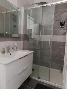 a bathroom with a glass shower and a sink at La bastide 4 chambres in Artignosc-sur-Verdon +10 photos
