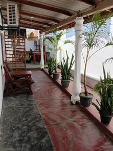 a porch with potted plants and a chair at Wave Hunters Arugam Bay in Arugam Bay +51 photos