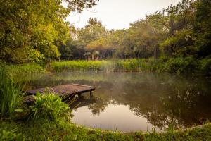 a small pond with a wooden dock in the middle at The River Villa in Magaliesburg +57 photos