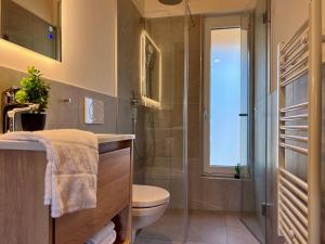 a bathroom with a shower and a toilet and a sink at Almchalet Alpenglück in Sankt Lambrecht