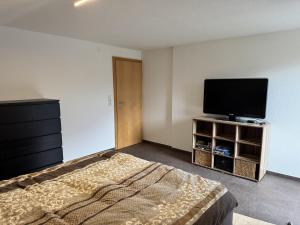 a bedroom with a bed and a flat screen tv at Tirol Stay in Ebbs
