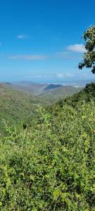 a lush green field with mountains in the background at Finca Hostal Eva Maria in Santa Marta
