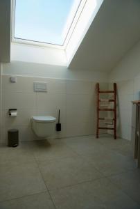 a bathroom with a toilet and a skylight at Gipfelblick Weißenbacher in Übersee +38 photos