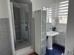 a bathroom with a shower and a sink at Au Vingt Neuf in Loches +8 photos