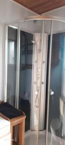 a bathroom with a shower and a sink at La crapaudiere in Charrin +21 photos