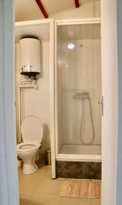 a bathroom with a toilet and a shower at Chalet Mauzac- Piscine- Domaine Paisible in Rivières