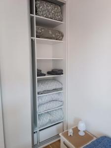 a closet filled with lots of towels at Divci Nova1- A8 in Divčibare
