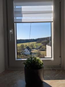 a window with a plant in front of it at Drive & Dream Nürburgring in Drees